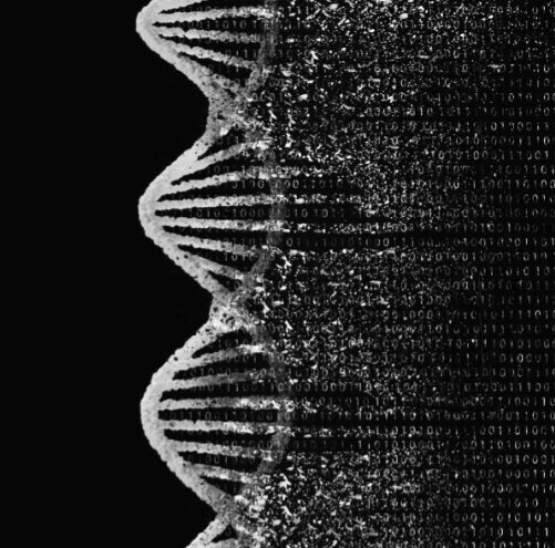 genomica-y-big-data